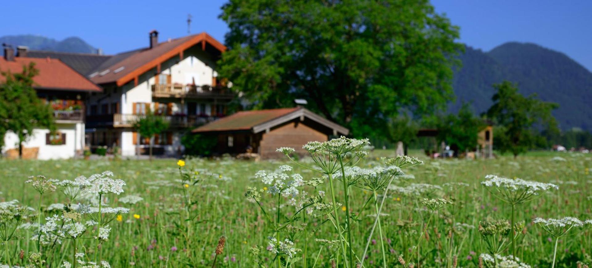 Ferienwohnungen Ramslerhof Inkl. Chiemgaukarte Ruhpolding Exterior foto